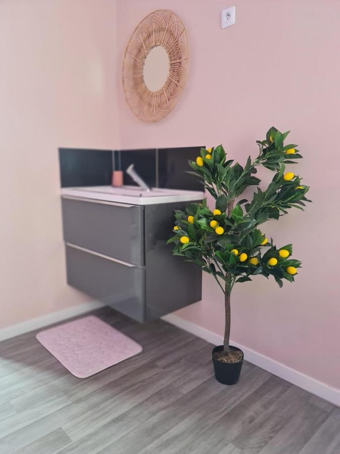 Ng Suitehome - Lille I Roubaix Centre I 121 - Pastel - Netflix - Wifi Luaran gambar